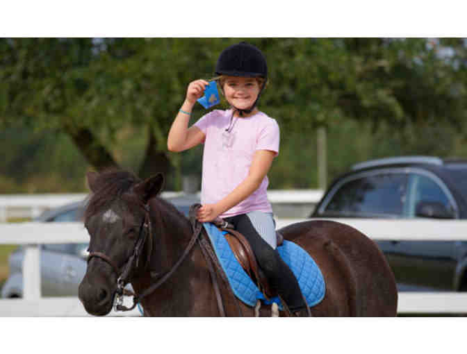 Brickhouse Equestrian Center Riding Lessons