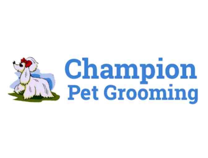 Champion Dog Grooming