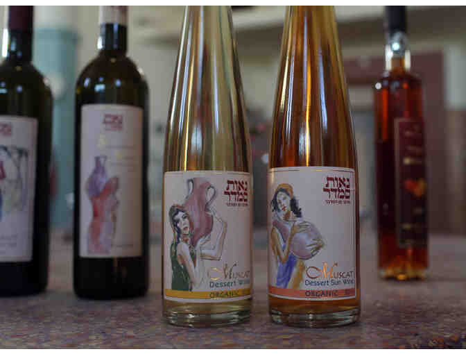 Taste of Israel Basket