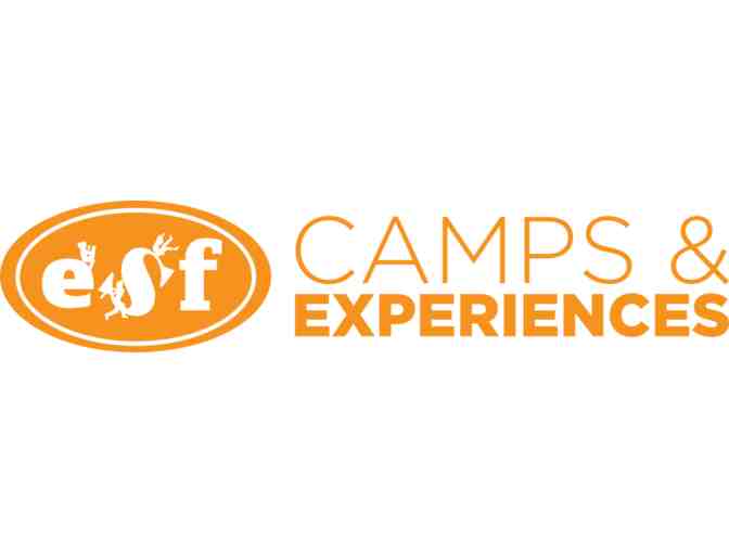 $380 credit towards ESF Camp at Georgetown Prep - Photo 1