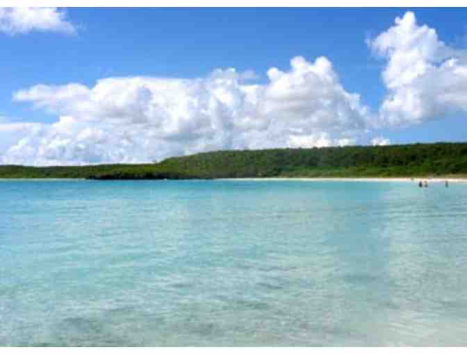 Adventure & Relaxation in Tropical Vieques Island, Puerto Rico