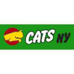 Children's Athletic Training School