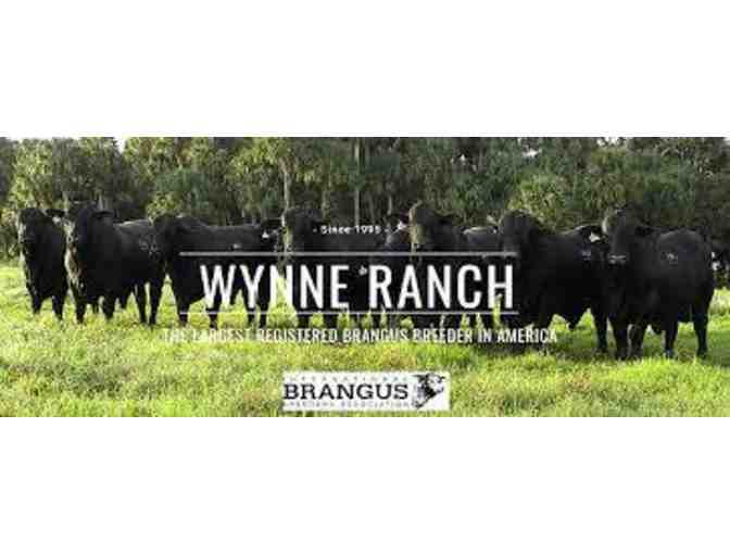 Wynne Ranch Hunt
