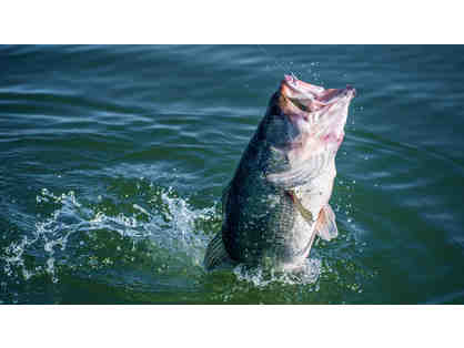 Bass Fishing Experience on Lake Okeechobee with 2 Night Stay and Car Rental for (2)