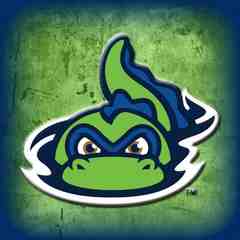 Vermont Lake Monsters