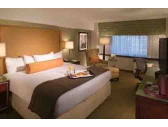 Staycation (or In-Laws Suite) at The Sheraton, Stamford