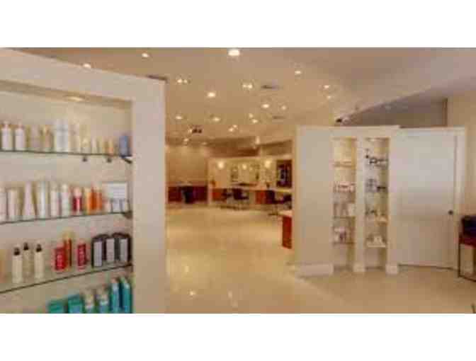 Serge Renard - Haircut and blow dry exclusively with Serge, French Heritage Salon