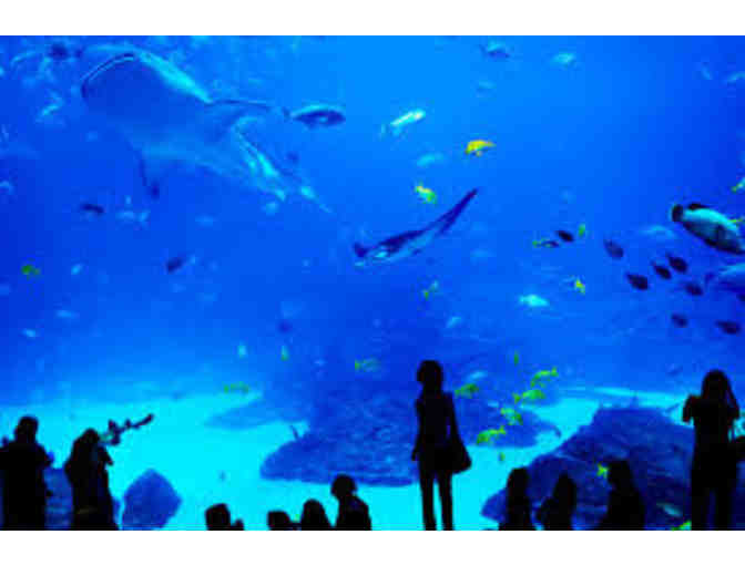 2 Tickets to Adventure Aquarium
