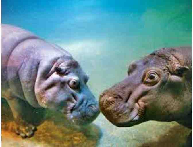 2 Tickets to Adventure Aquarium