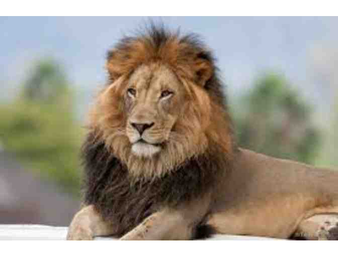 (2) Single Day Admission for San Diego Zoo or Safari Park