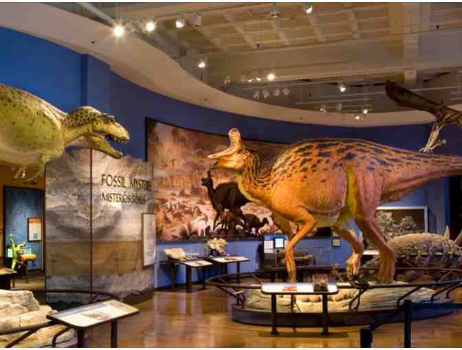 San Diego Natural History Museum Passes