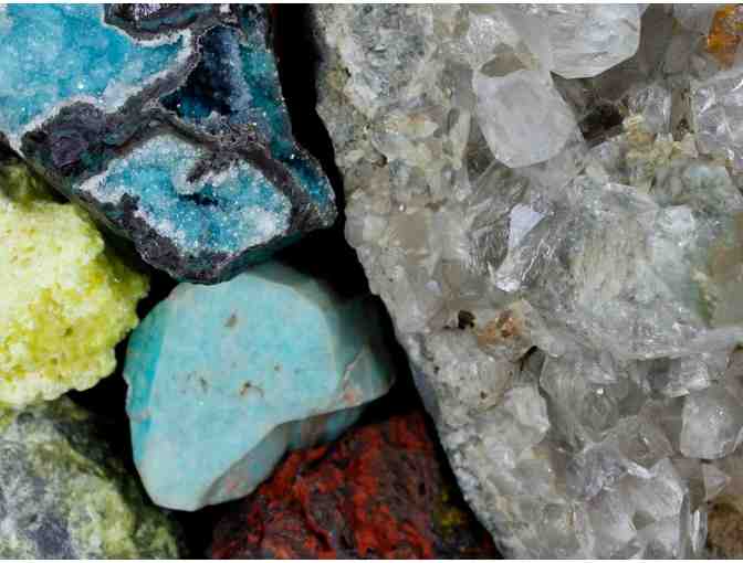 San Diego Natural History Museum Passes