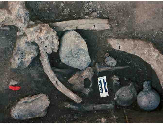 San Diego Natural History Museum Passes