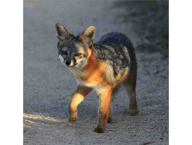 San Diego Natural History Museum Passes