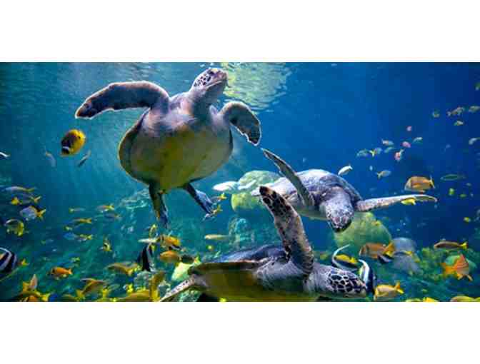 (4) SeaWorld San Diego Tickets