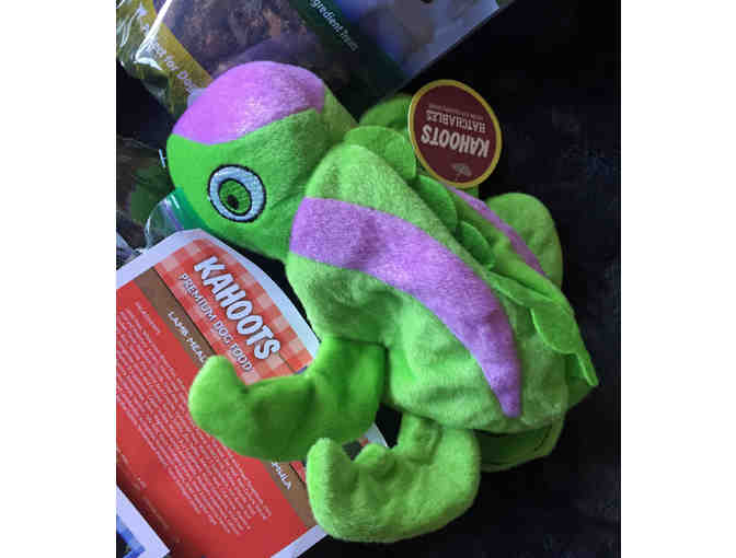 Gift Bag for your Dog & $20 Gift Card from Kahoots - RB