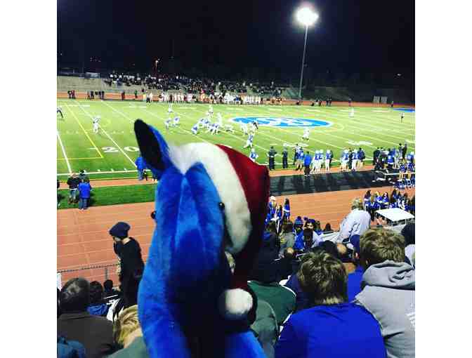 'Bucky' the Bronco Handmade Plushie