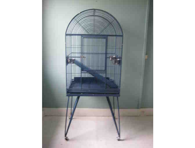 Blue Bird Cage