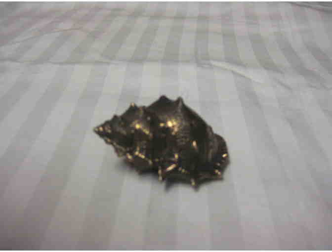 Bronze Shell