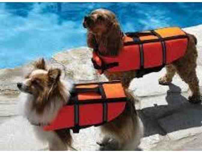 Poolmaster Doggie Swim Vest (Small)