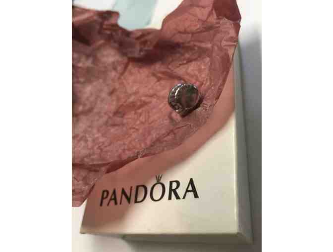 Pandora Cupcake Charm