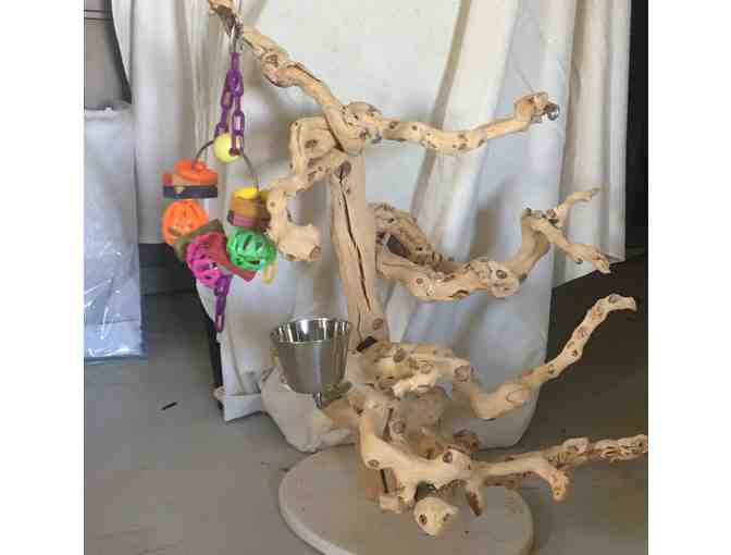 Gently Used Java Bird Perch with Toy