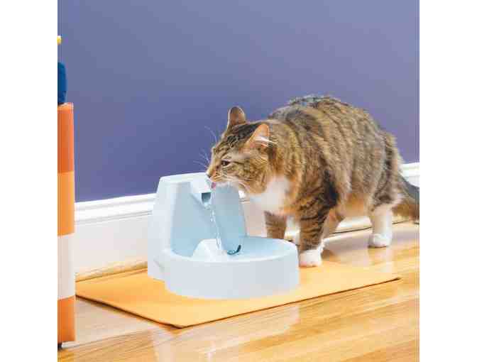 New in Box Drinkwell Standard Plastic Dog and Cat Fountain, 50 oz