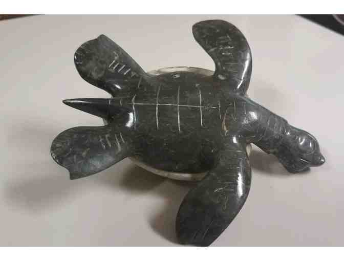 Turtle is 6 inches by 6 carved in the British virgin islands