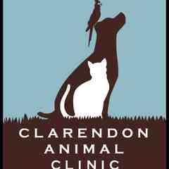 Clarendon Animal Clinic
