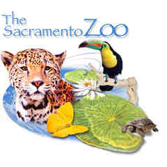 Mary Healy - Sacramento Zoo