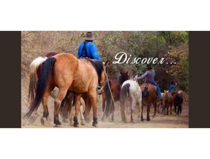 Circle Bar B Guest Ranch: $50 Lodging Gift Certificate