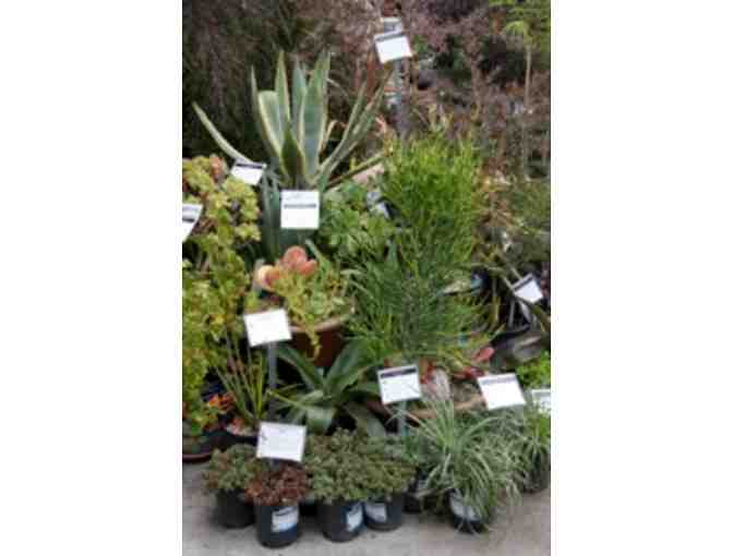 East Bay Nursery: $25 Gift Certificate