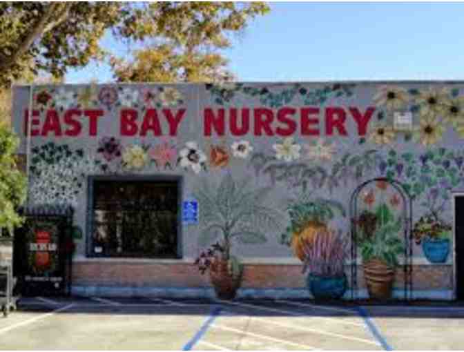 East Bay Nursery: $35 Gift Certificate