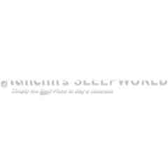 Mancini's Sleepworld