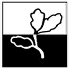 Romain CURTIS, Polygon Design Studio