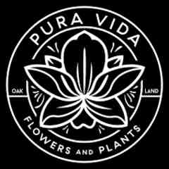 Pura Vida Flowers and Plants