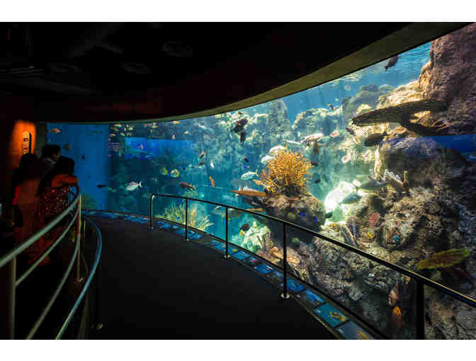 L.A. Family Days Out: Aquarium of the Pacific, Santa Anita Park & Wildlife Learning Center