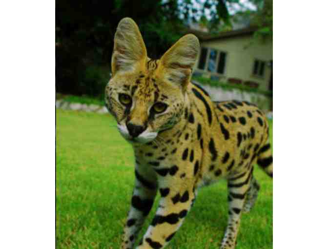 L.A. Family Days Out: Aquarium of the Pacific, Santa Anita Park & Wildlife Learning Center