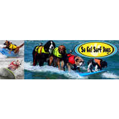 So Cal Surf Dogs