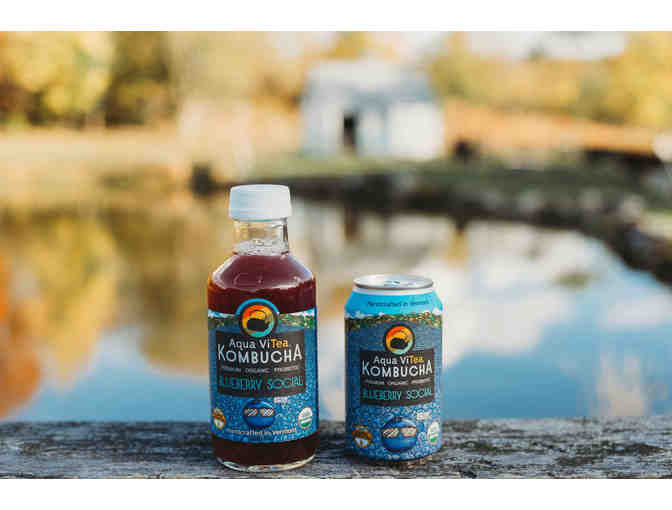 Aqua Vitea- 6 cases of seltzers, plus a special Aquavitea hat and shirt