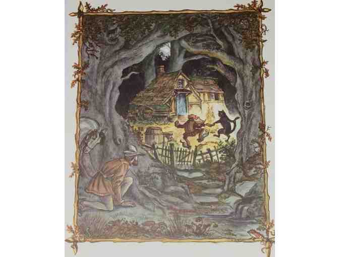 Wonderwild Story Portal - One Year Subscription