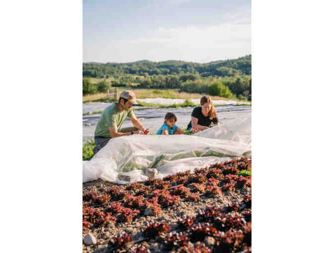 Trillium Hill Farm- $25 Gift Certificate
