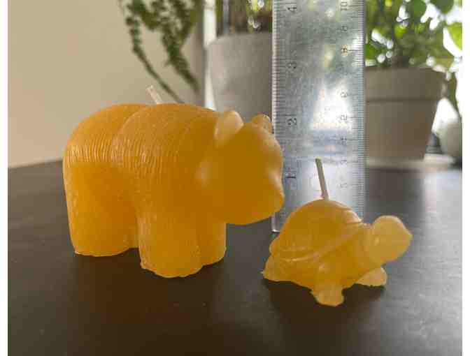 Beeswax Bear and Turtle Candles - Photo 1