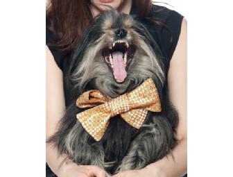 Marrakech- Sexy Silky Neck Accessory Made Just For Her