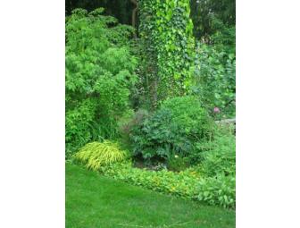 Landscape Consultation