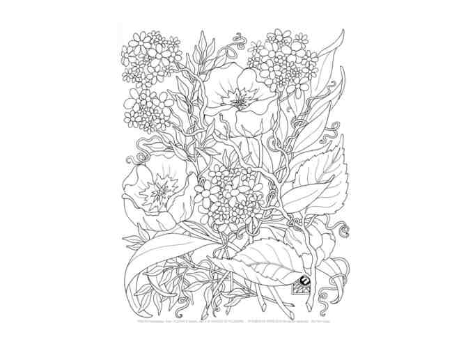 Coloring with Mrs. Thompson & Ms. Engelkenjohn! (For 2nd, 3rd and 4th graders)