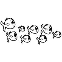 Ackermann's Swim Program