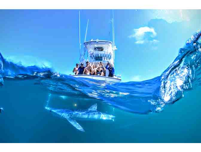 Private Charter for a Group of up to Eight to Dive with Blue and Mako Sharks