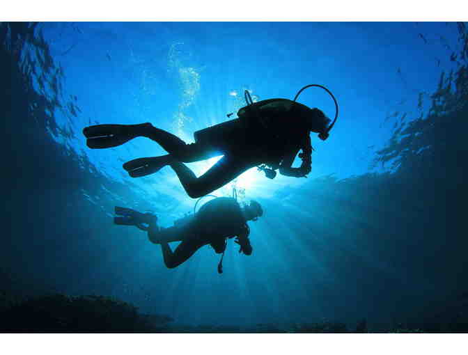 Stay-and-Dive Package for Two at All-Inclusive Occidental Cozumel in Mexico