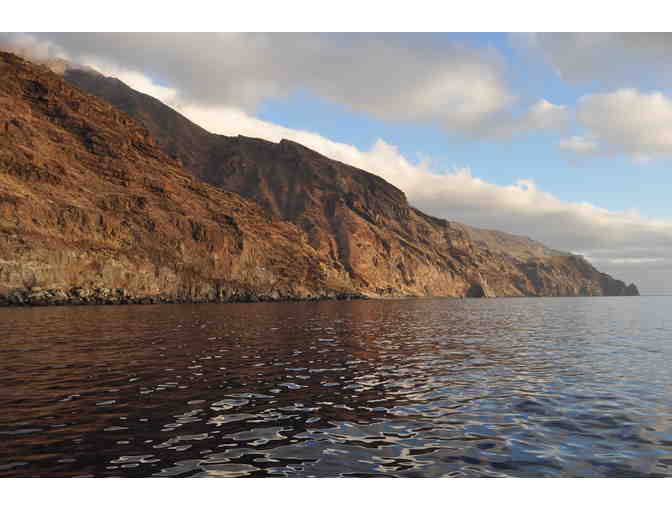 Shark Diver Gift Certificate for Great White Shark Dive